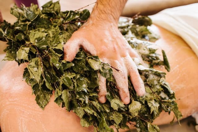 Помывка березовая